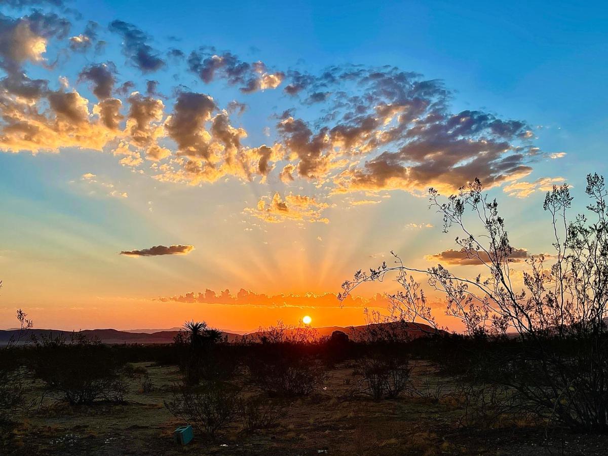 Popular Homestead! Location, Stargaze, Views! Joshua Tree Ngoại thất bức ảnh