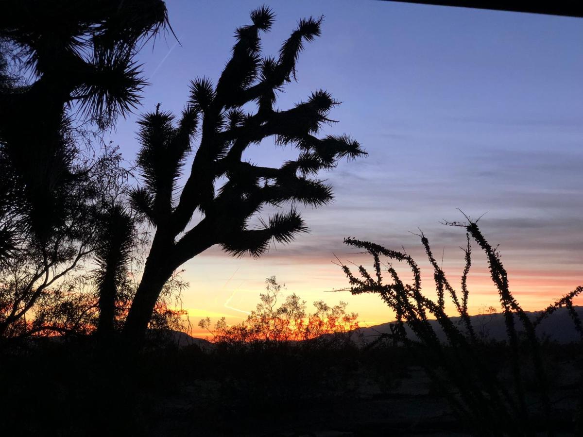 Popular Homestead! Location, Stargaze, Views! Joshua Tree Ngoại thất bức ảnh