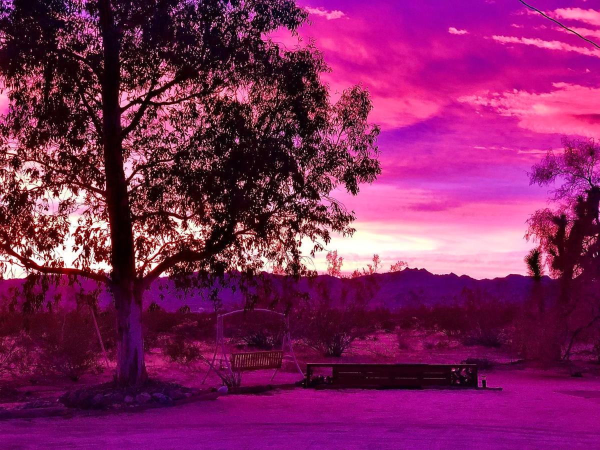 Popular Homestead! Location, Stargaze, Views! Joshua Tree Ngoại thất bức ảnh