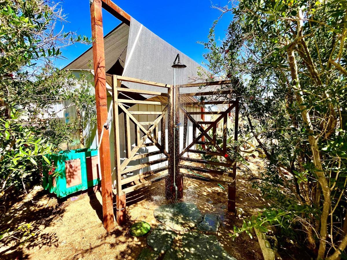 Popular Homestead! Location, Stargaze, Views! Joshua Tree Ngoại thất bức ảnh