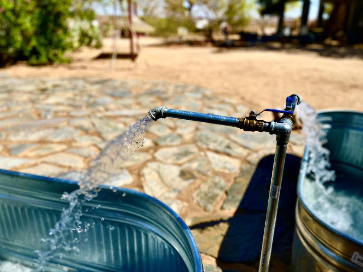Popular Homestead! Location, Stargaze, Views! Joshua Tree Ngoại thất bức ảnh