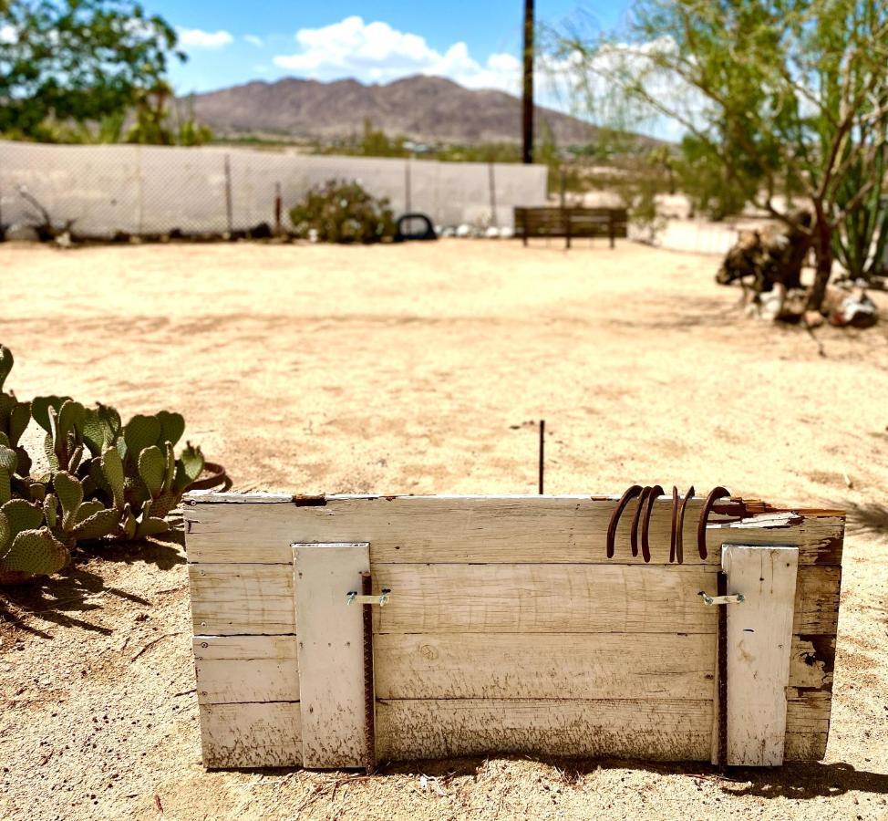 Popular Homestead! Location, Stargaze, Views! Joshua Tree Ngoại thất bức ảnh