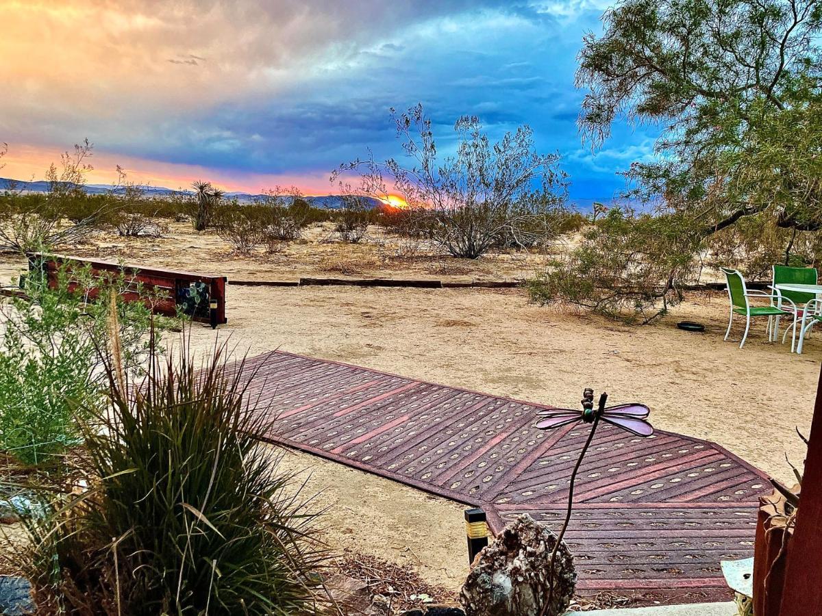 Popular Homestead! Location, Stargaze, Views! Joshua Tree Ngoại thất bức ảnh