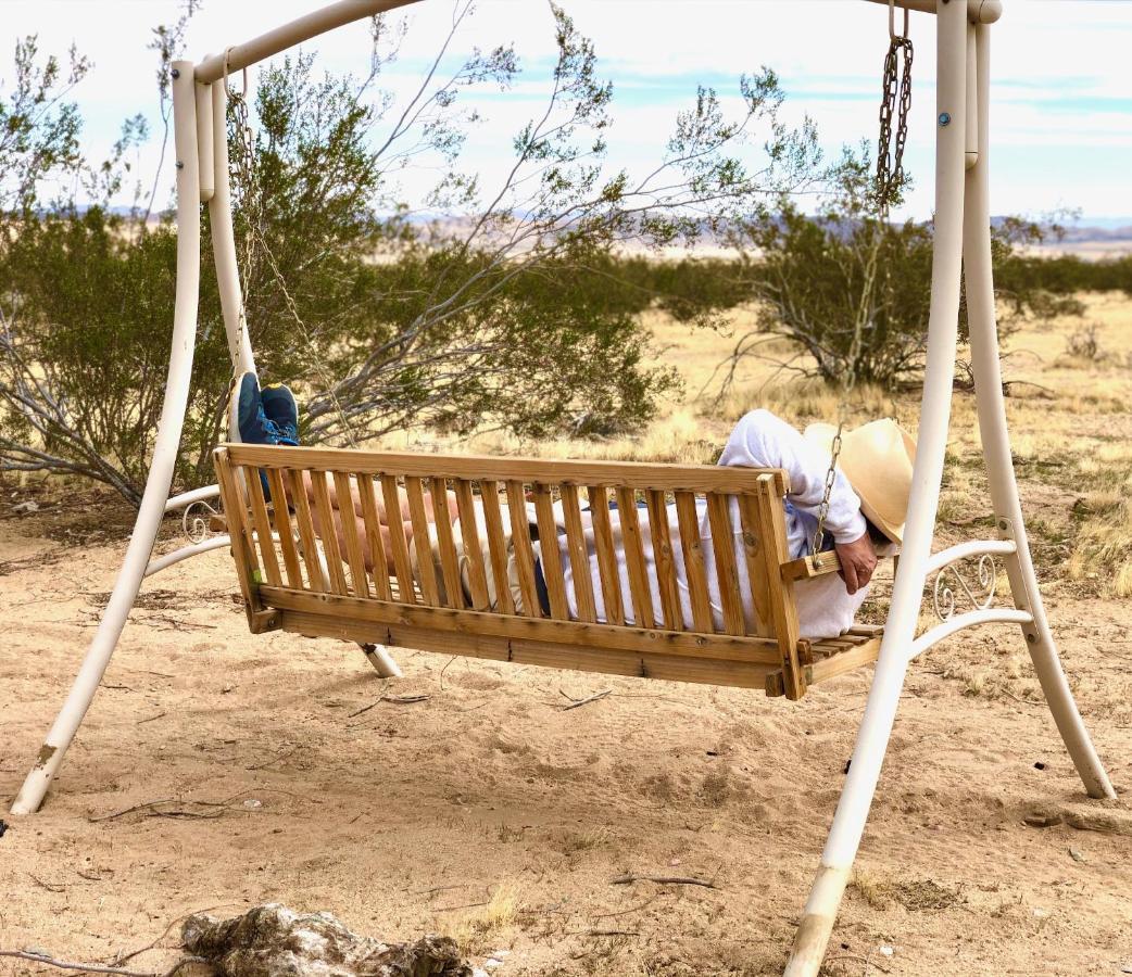 Popular Homestead! Location, Stargaze, Views! Joshua Tree Ngoại thất bức ảnh
