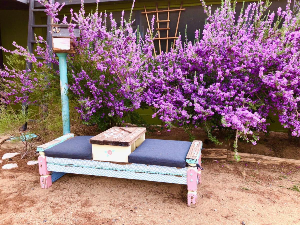 Popular Homestead! Location, Stargaze, Views! Joshua Tree Ngoại thất bức ảnh